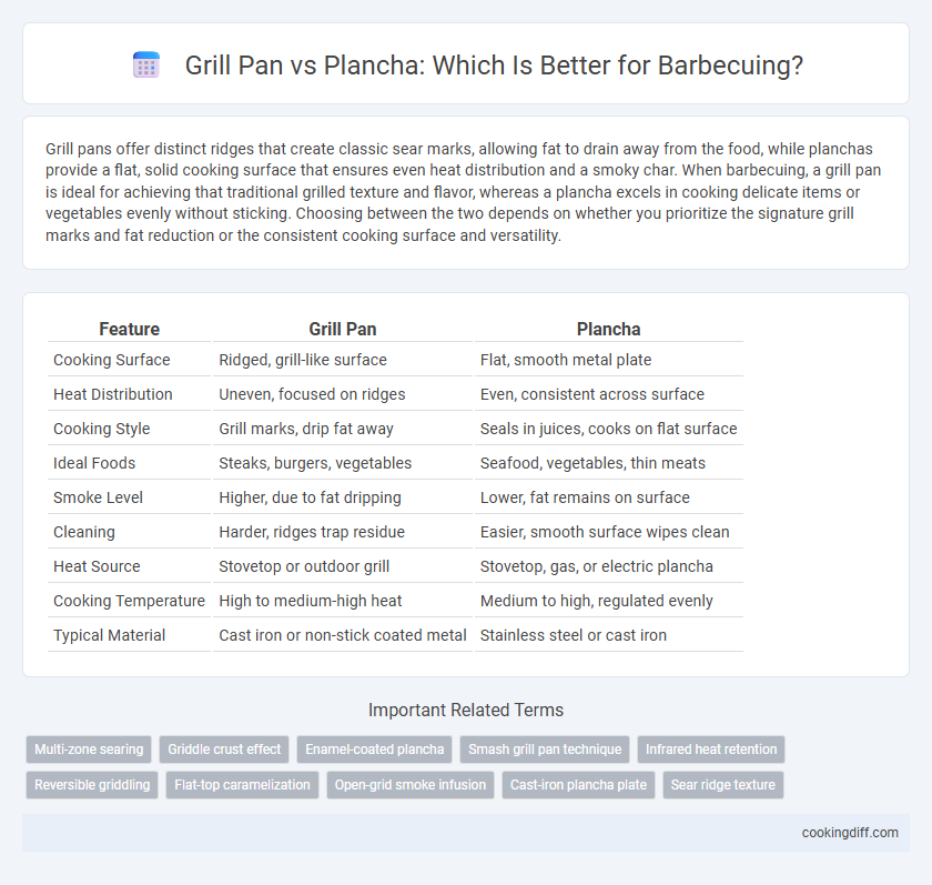 Grill Pan vs Plancha: Which Is Better for Barbecuing?