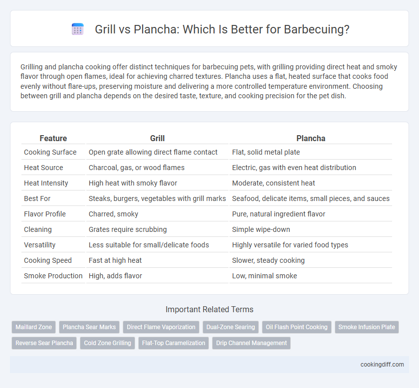 Grill vs Plancha: Which Is Better for Barbecuing?