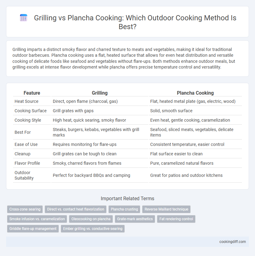 Grilling vs Plancha Cooking: Which Outdoor Cooking Method Is Best?