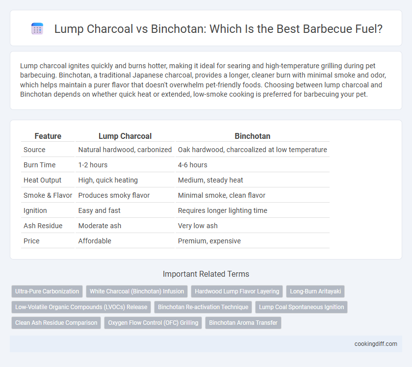 Lump Charcoal vs Binchotan: Which Is the Best Barbecue Fuel?