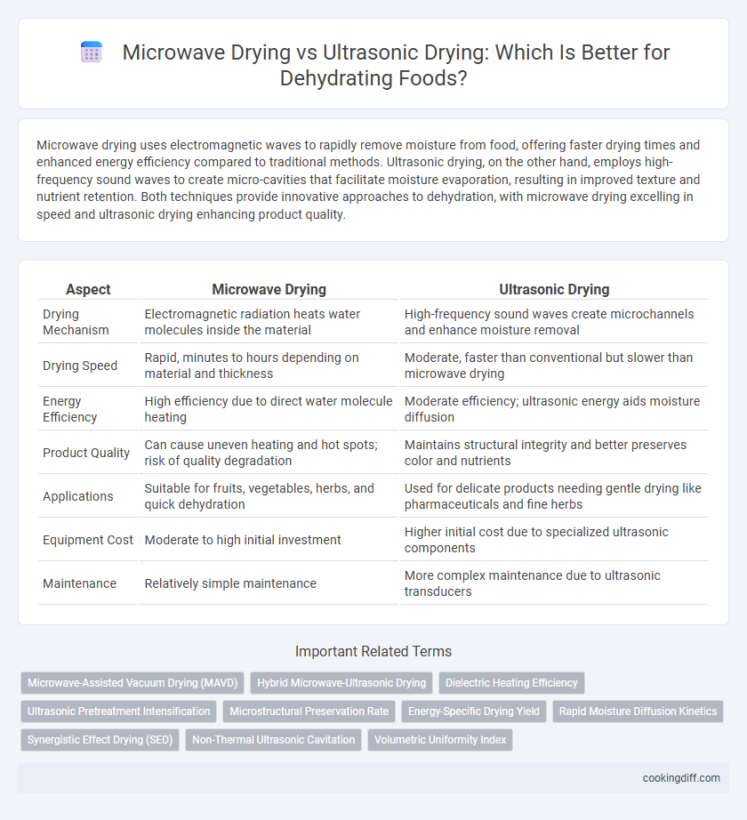 Microwave Drying vs Ultrasonic Drying: Which Is Better for Dehydrating Foods?