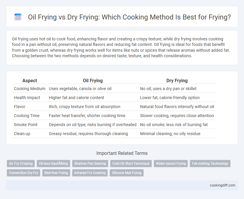 Oil Frying vs Dry Frying: Which Cooking Method Is Best for Frying?