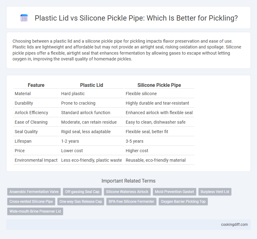Plastic Lid vs Silicone Pickle Pipe: Which Is Better for Pickling?