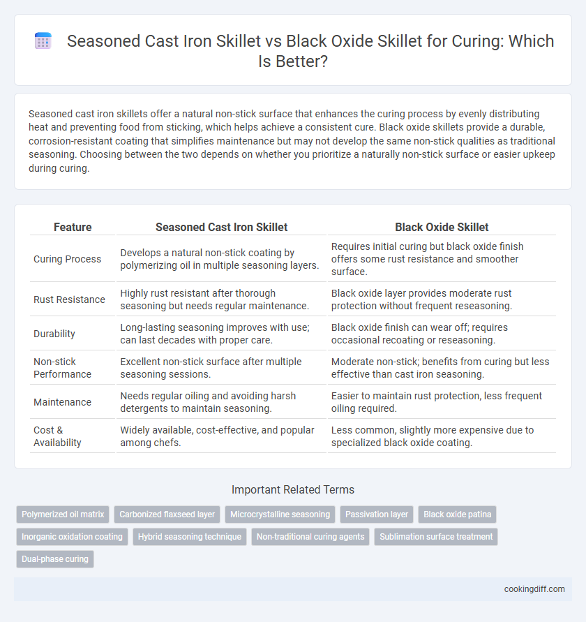 Seasoned Cast Iron Skillet vs Black Oxide Skillet for Curing: Which Is Better?