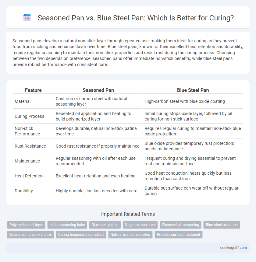 Seasoned Pan vs. Blue Steel Pan: Which Is Better for Curing?