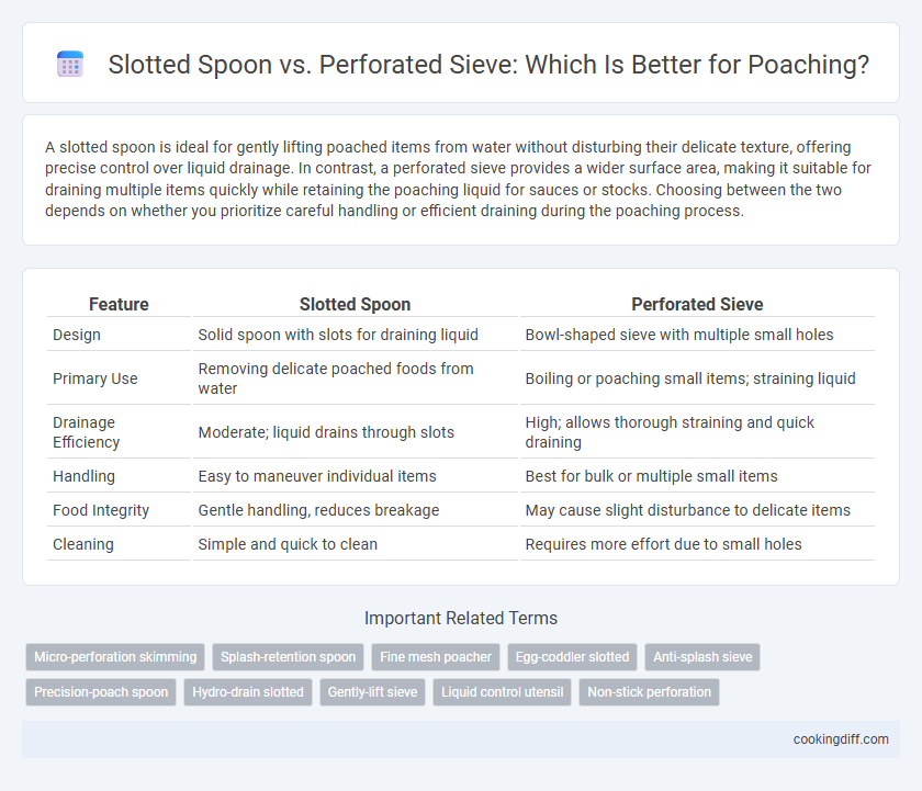 Slotted Spoon vs. Perforated Sieve: Which Is Better for Poaching?