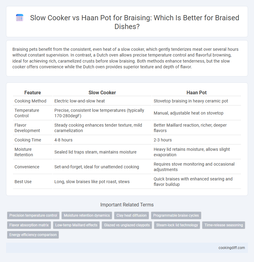 Slow Cooker vs Haan Pot for Braising: Which Is Better for Braised Dishes?