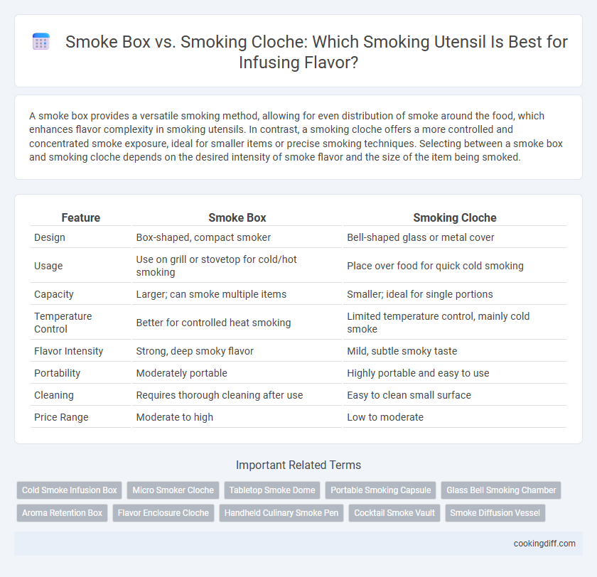 Smoke Box vs. Smoking Cloche: Which Smoking Utensil Is Best for Infusing Flavor?