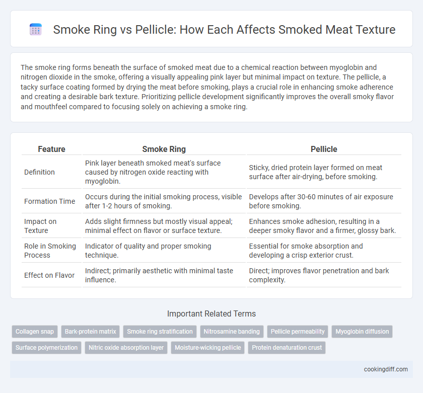 Smoke Ring vs Pellicle: How Each Affects Smoked Meat Texture