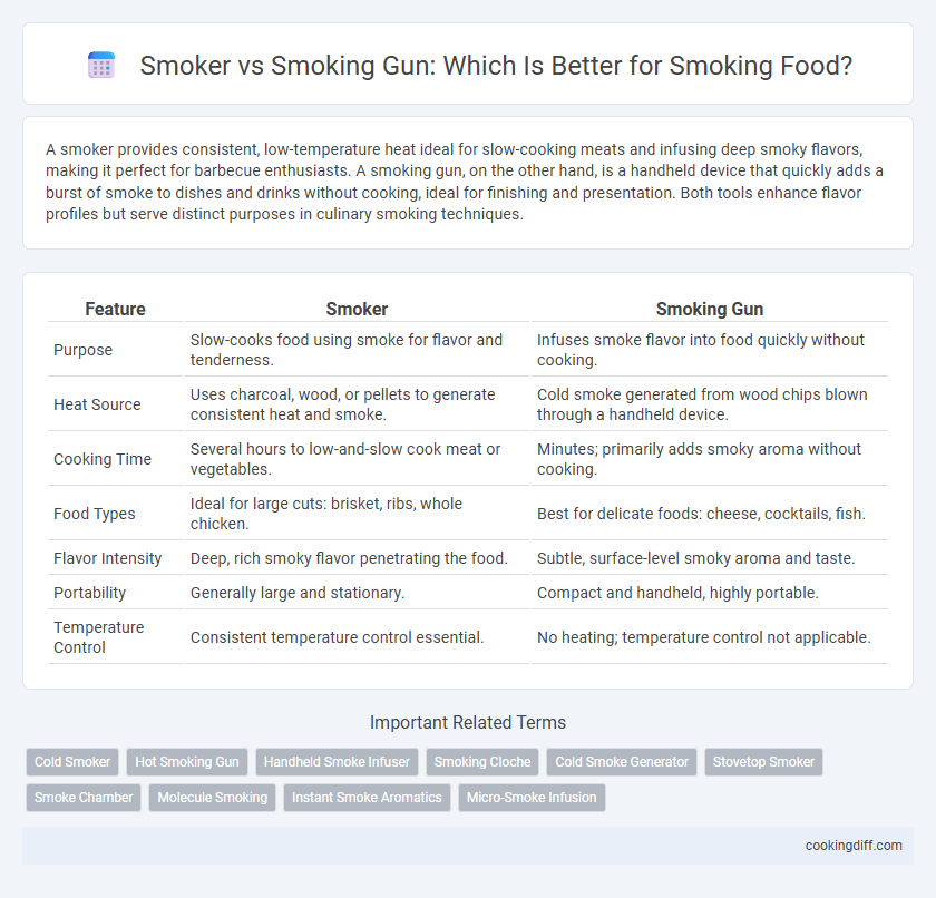 Smoker vs Smoking Gun: Which Is Better for Smoking Food?