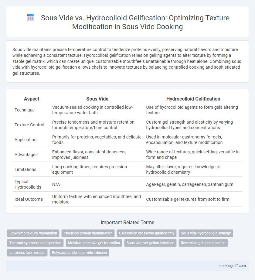 Sous Vide vs. Hydrocolloid Gelification: Optimizing Texture Modification in Sous Vide Cooking