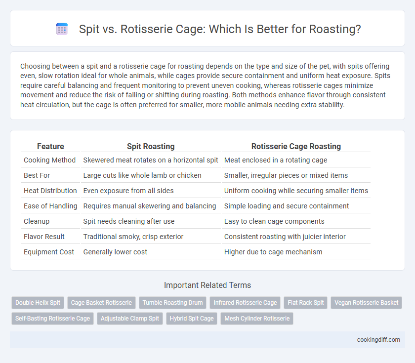 Spit vs. Rotisserie Cage: Which Is Better for Roasting?