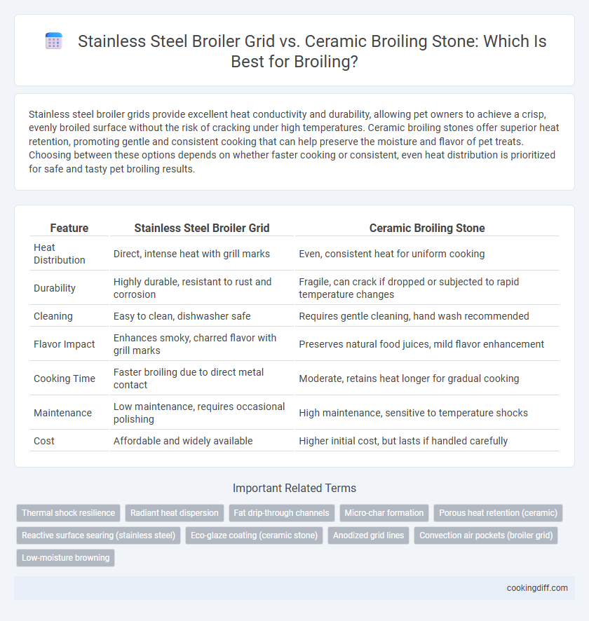 Stainless Steel Broiler Grid vs. Ceramic Broiling Stone: Which Is Best for Broiling?