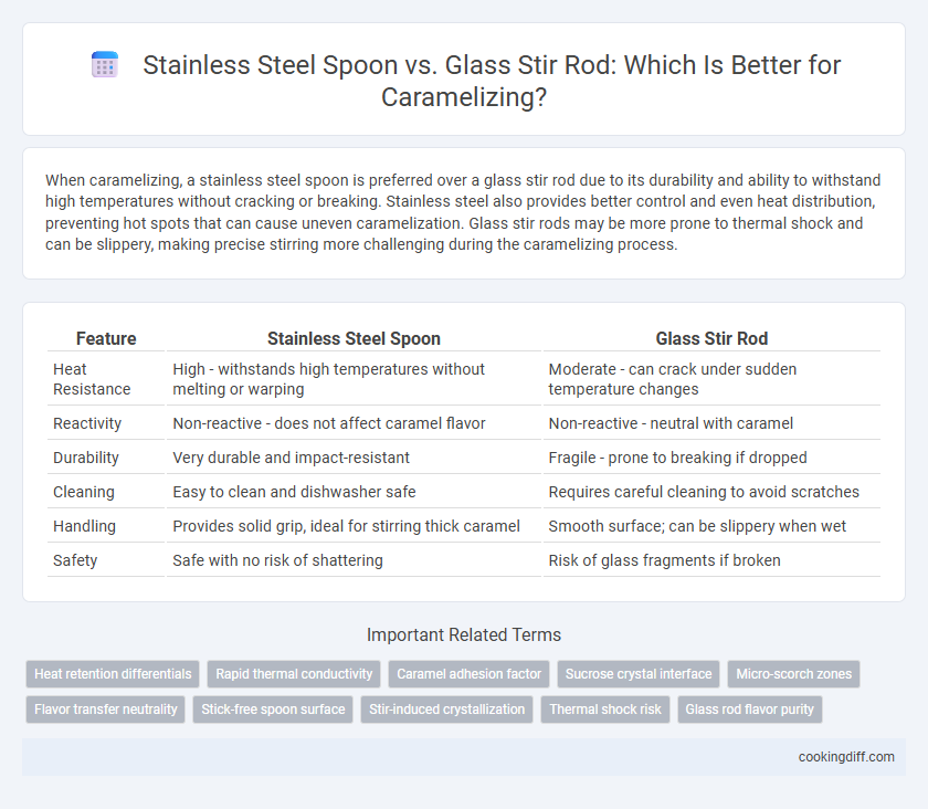 Stainless Steel Spoon vs. Glass Stir Rod: Which Is Better for Caramelizing?