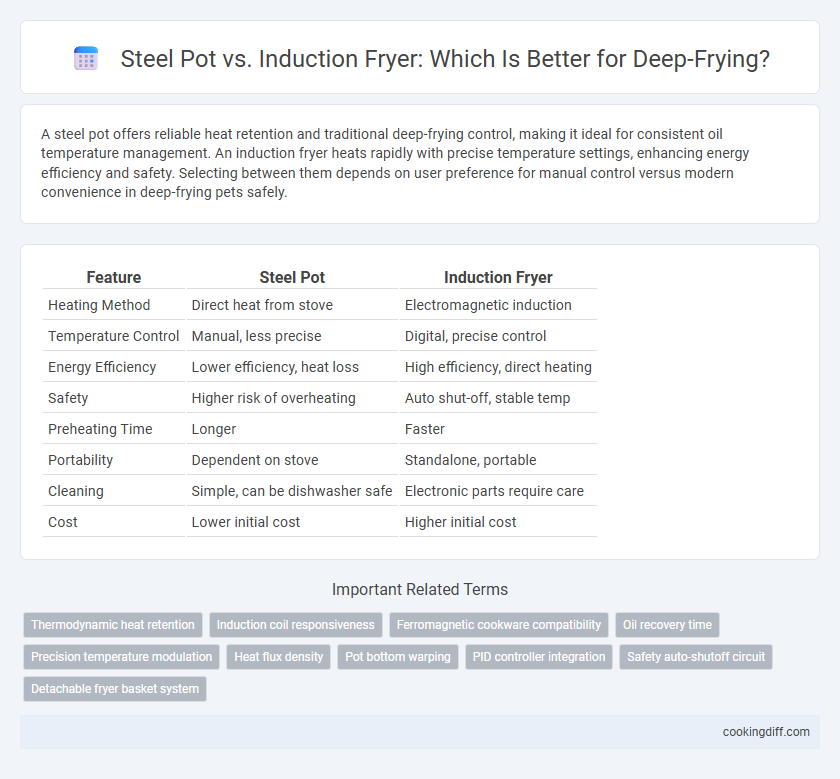 Steel Pot vs. Induction Fryer: Which Is Better for Deep-Frying?