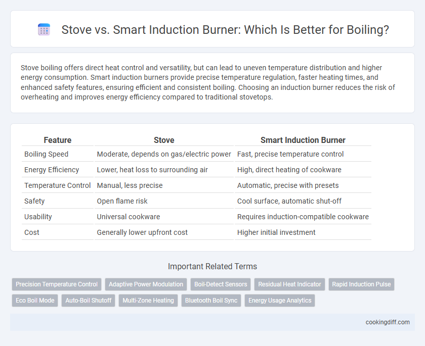 Stove vs. Smart Induction Burner: Which Is Better for Boiling?