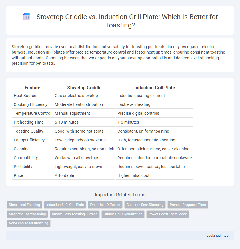 Stovetop Griddle vs. Induction Grill Plate: Which Is Better for Toasting?