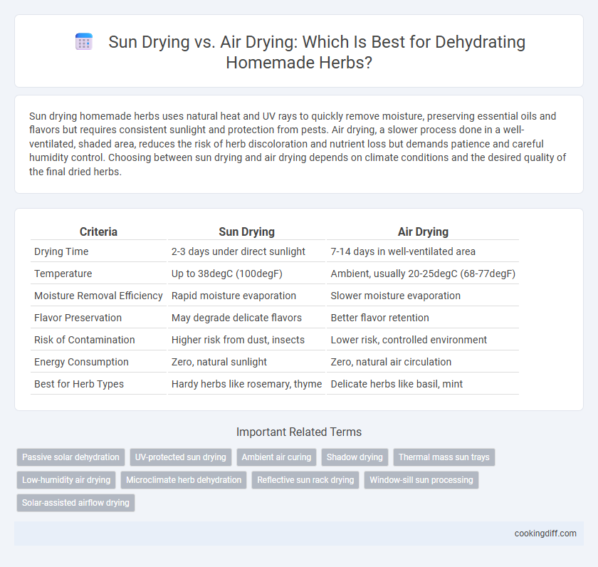 Sun Drying vs. Air Drying: Which Is Best for Dehydrating Homemade Herbs?