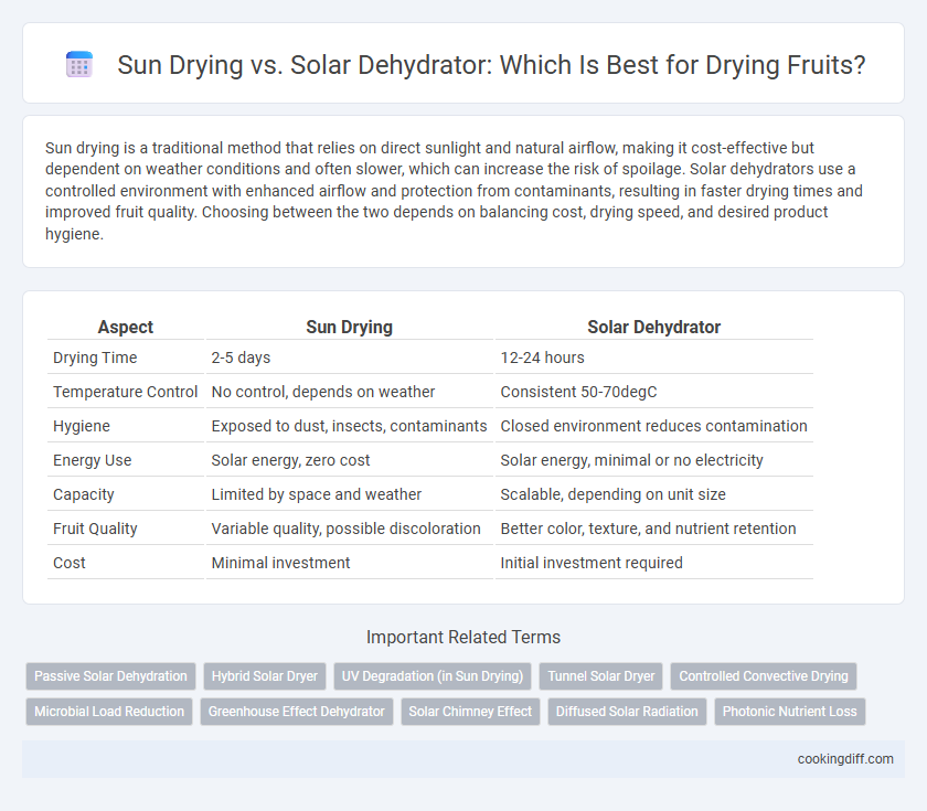 Sun Drying vs. Solar Dehydrator: Which Is Best for Drying Fruits?