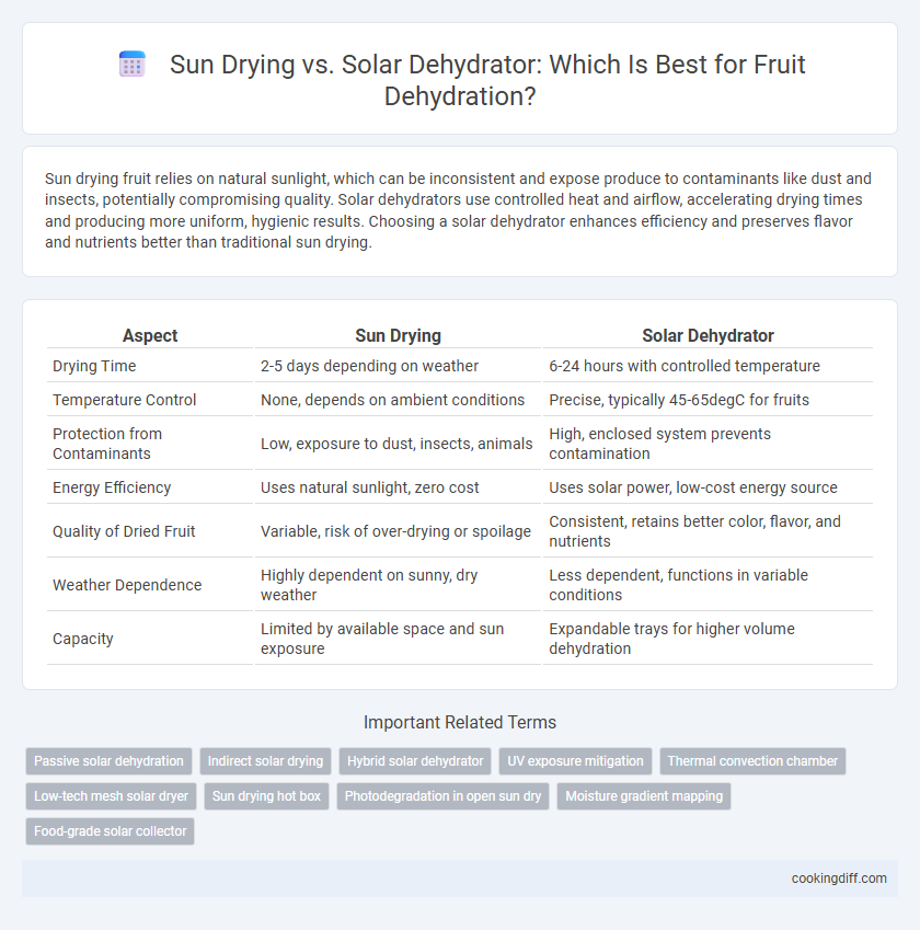 Sun Drying vs. Solar Dehydrator: Which Is Best for Fruit Dehydration?