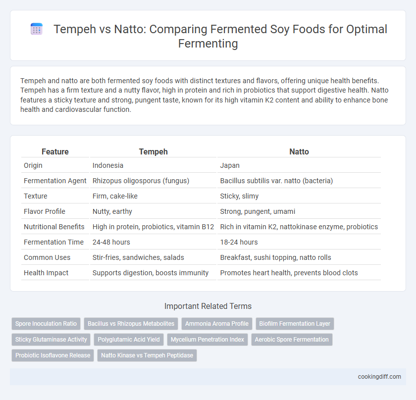 Tempeh vs Natto: Comparing Fermented Soy Foods for Optimal Fermenting