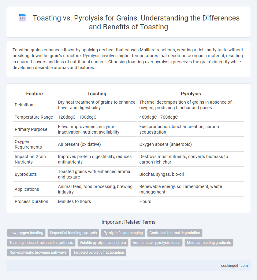 Toasting vs. Pyrolysis for Grains: Understanding the Differences and Benefits of Toasting