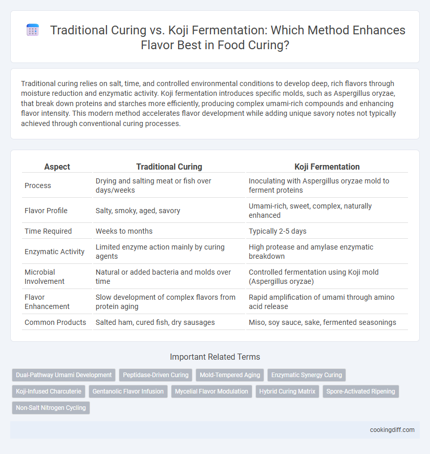 Traditional Curing vs. Koji Fermentation: Which Method Enhances Flavor Best in Food Curing?