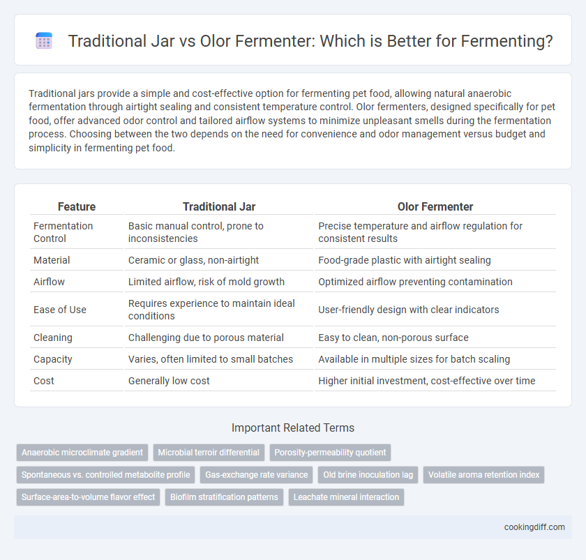 Traditional Jar vs Olor Fermenter: Which is Better for Fermenting?