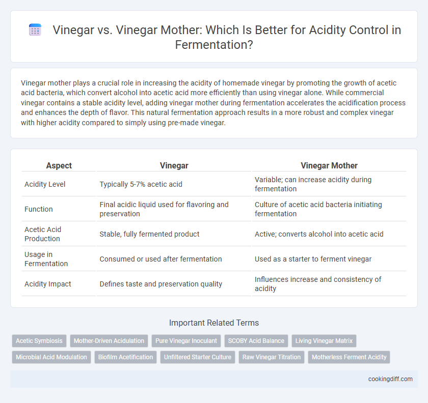 Vinegar vs. Vinegar Mother: Which Is Better for Acidity Control in Fermentation?