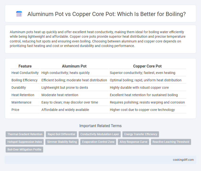 Aluminum Pot vs Copper Core Pot: Which Is Better for Boiling?