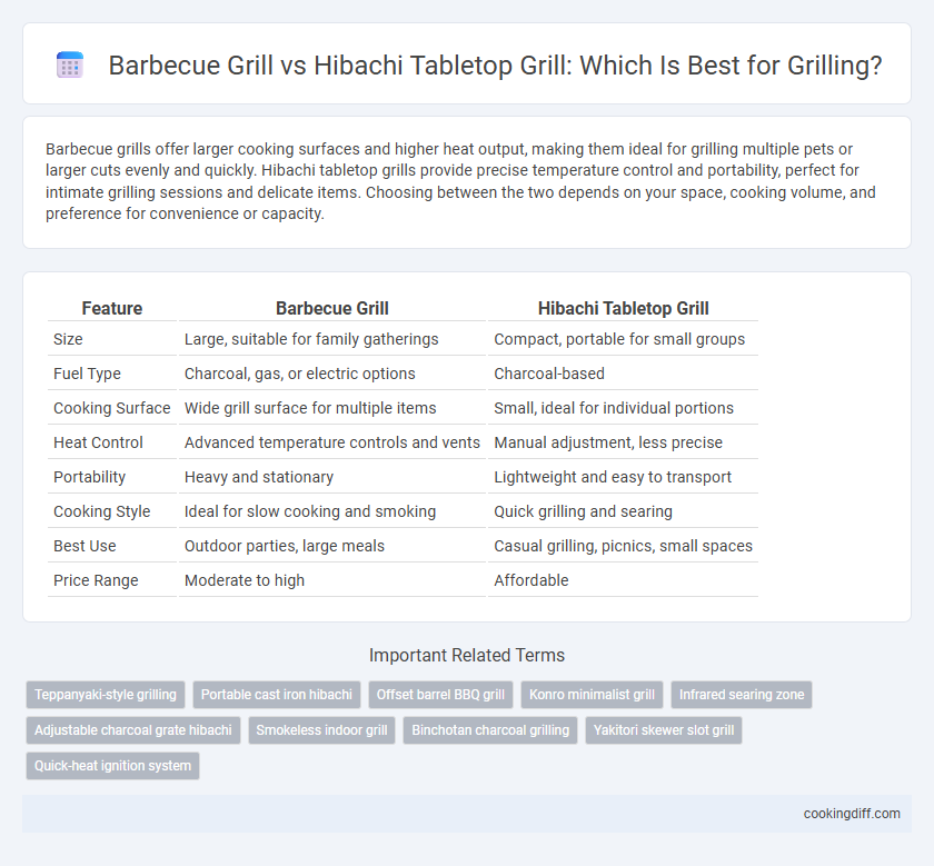 Barbecue Grill vs Hibachi Tabletop Grill: Which Is Best for Grilling?