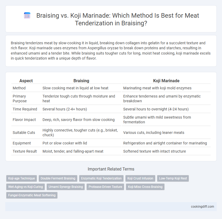 Braising vs. Koji Marinade: Which Method Is Best for Meat Tenderization in Braising?