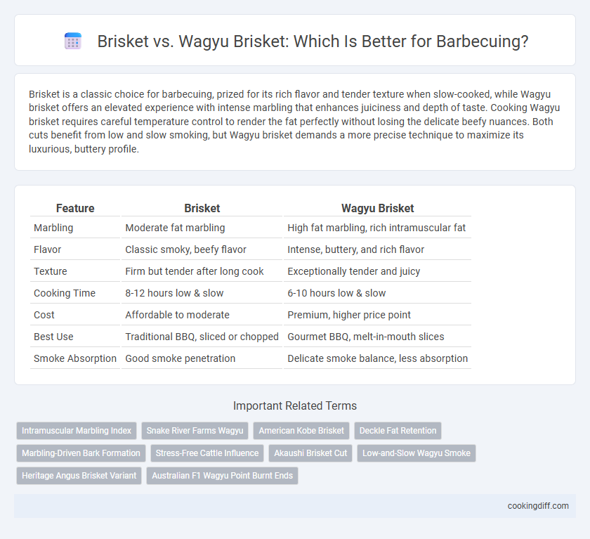 Brisket vs. Wagyu Brisket: Which Is Better for Barbecuing?
