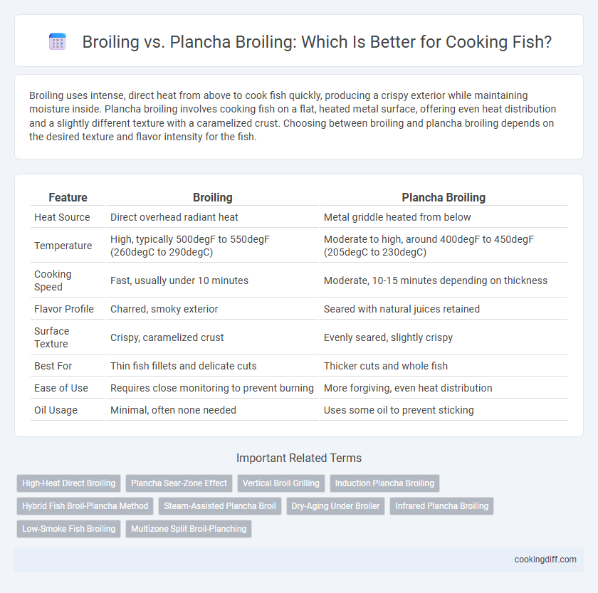 Broiling vs. Plancha Broiling: Which Is Better for Cooking Fish?