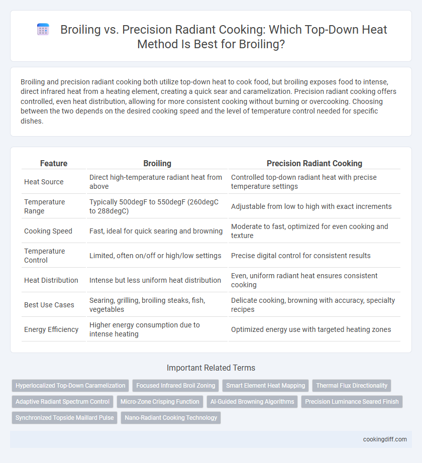 Broiling vs. Precision Radiant Cooking: Which Top-Down Heat Method Is Best for Broiling?