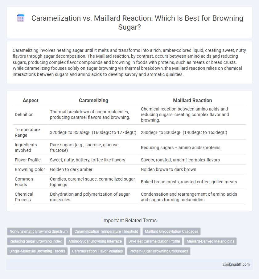 Caramelization vs. Maillard Reaction: Which Is Best for Browning Sugar?