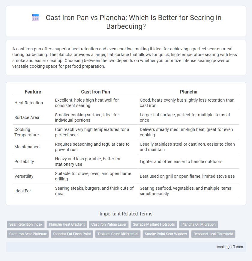 Cast Iron Pan vs Plancha: Which Is Better for Searing in Barbecuing?
