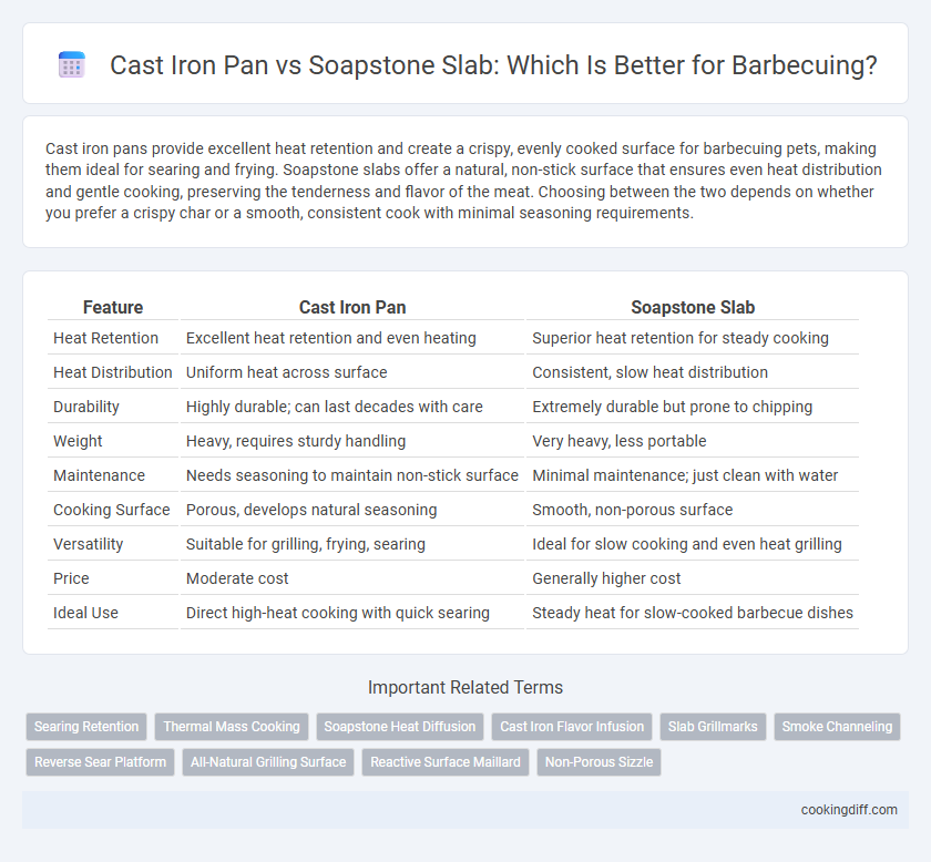 Cast Iron Pan vs Soapstone Slab: Which Is Better for Barbecuing?