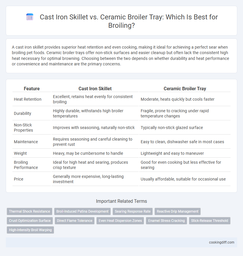 Cast Iron Skillet vs. Ceramic Broiler Tray: Which Is Best for Broiling?