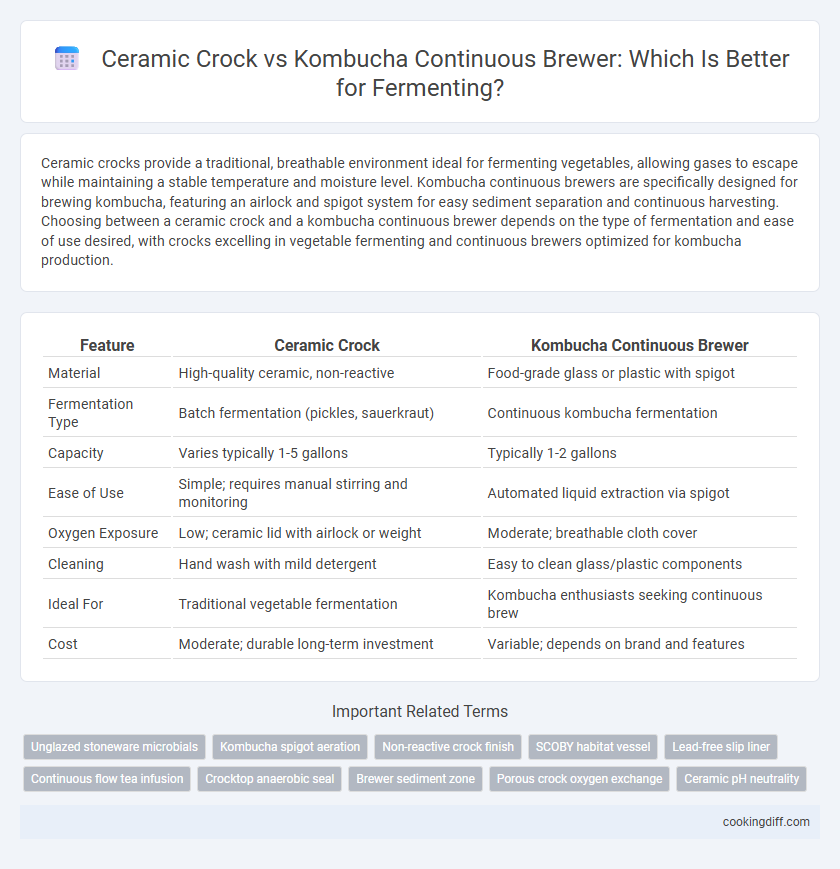 Ceramic Crock vs Kombucha Continuous Brewer: Which Is Better for Fermenting?