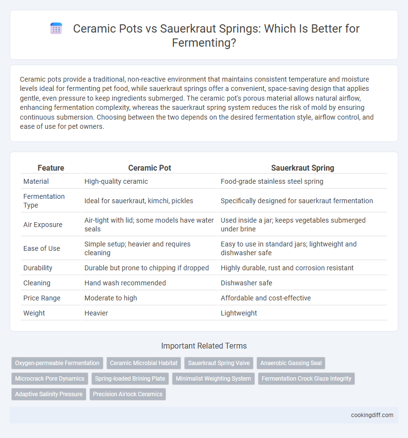 Ceramic Pots vs Sauerkraut Springs: Which Is Better for Fermenting?