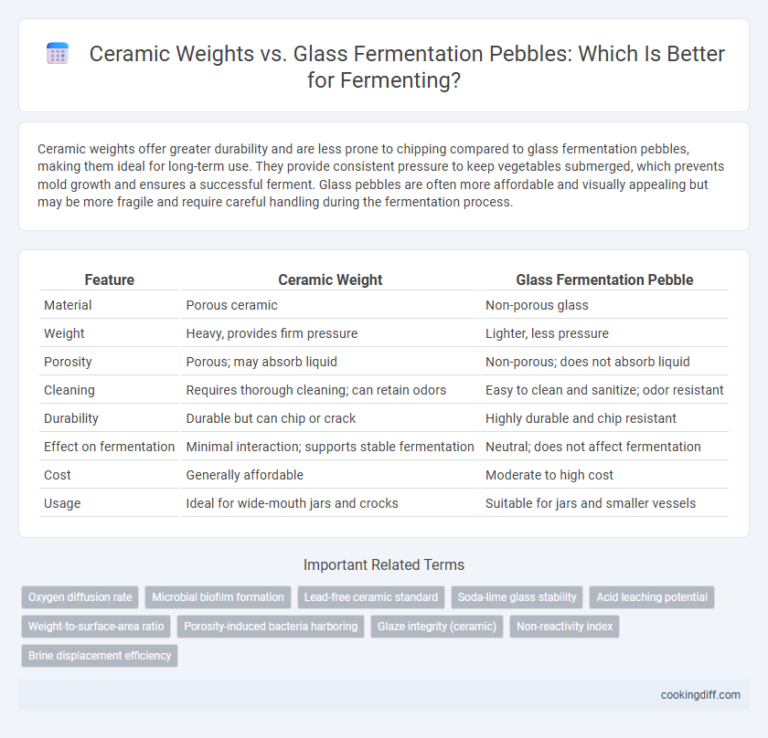 Ceramic Weights vs. Glass Fermentation Pebbles: Which Is Better for Fermenting?