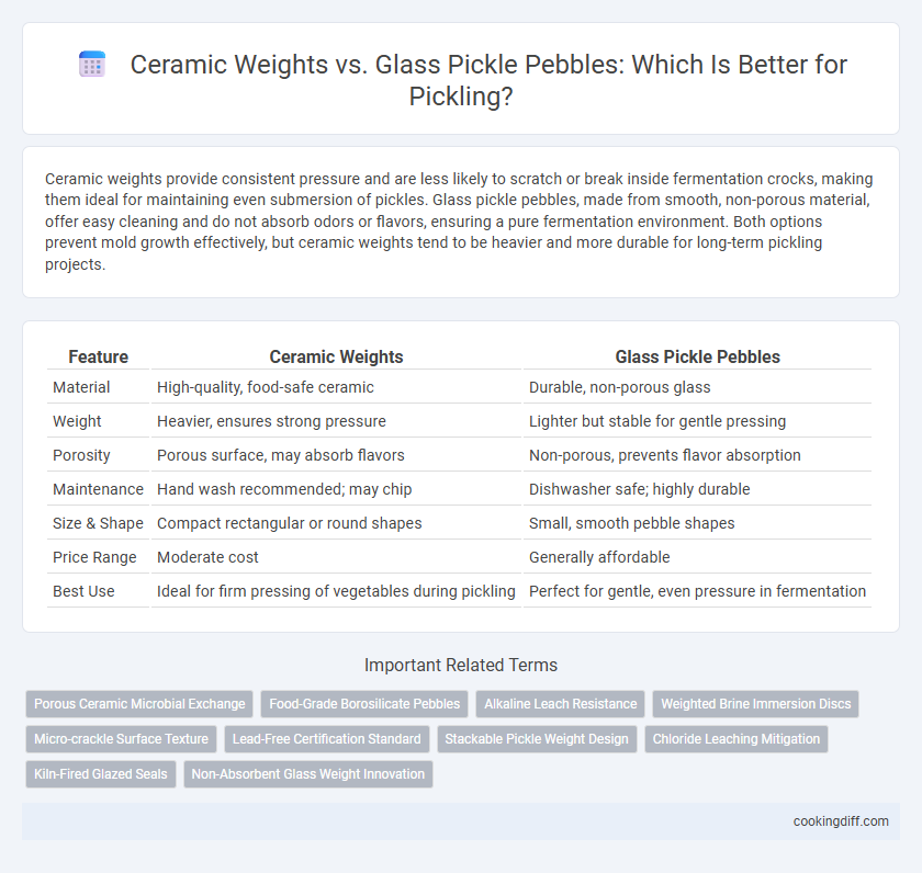 Ceramic Weights vs. Glass Pickle Pebbles: Which Is Better for Pickling?