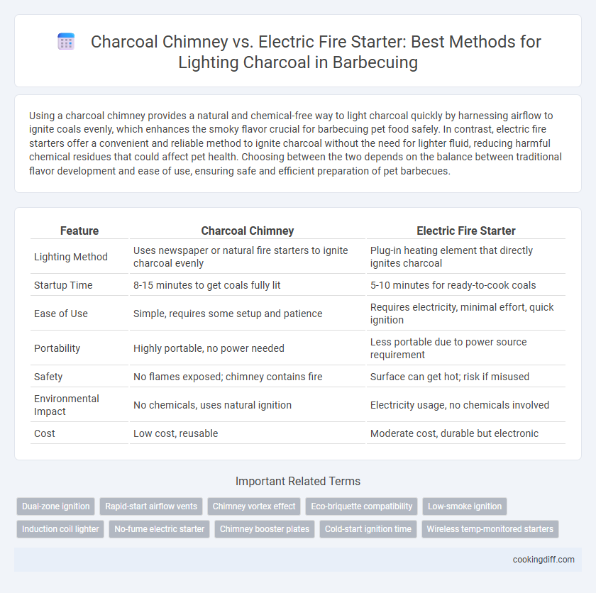 Charcoal Chimney vs. Electric Fire Starter: Best Methods for Lighting Charcoal in Barbecuing