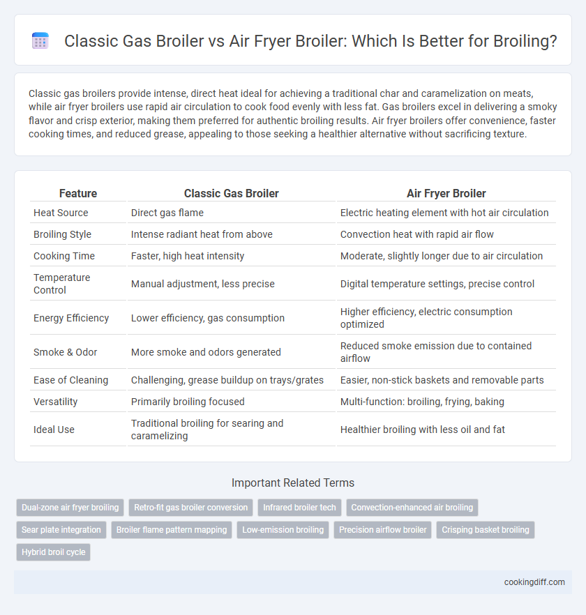 Classic Gas Broiler vs Air Fryer Broiler: Which Is Better for Broiling?