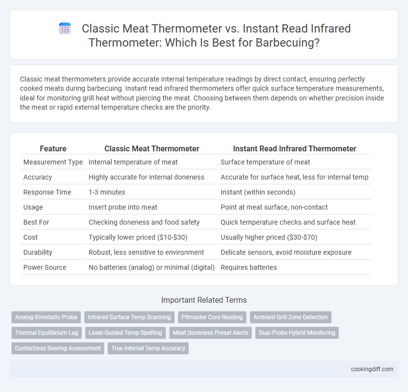 Classic Meat Thermometer vs. Instant Read Infrared Thermometer: Which Is Best for Barbecuing?