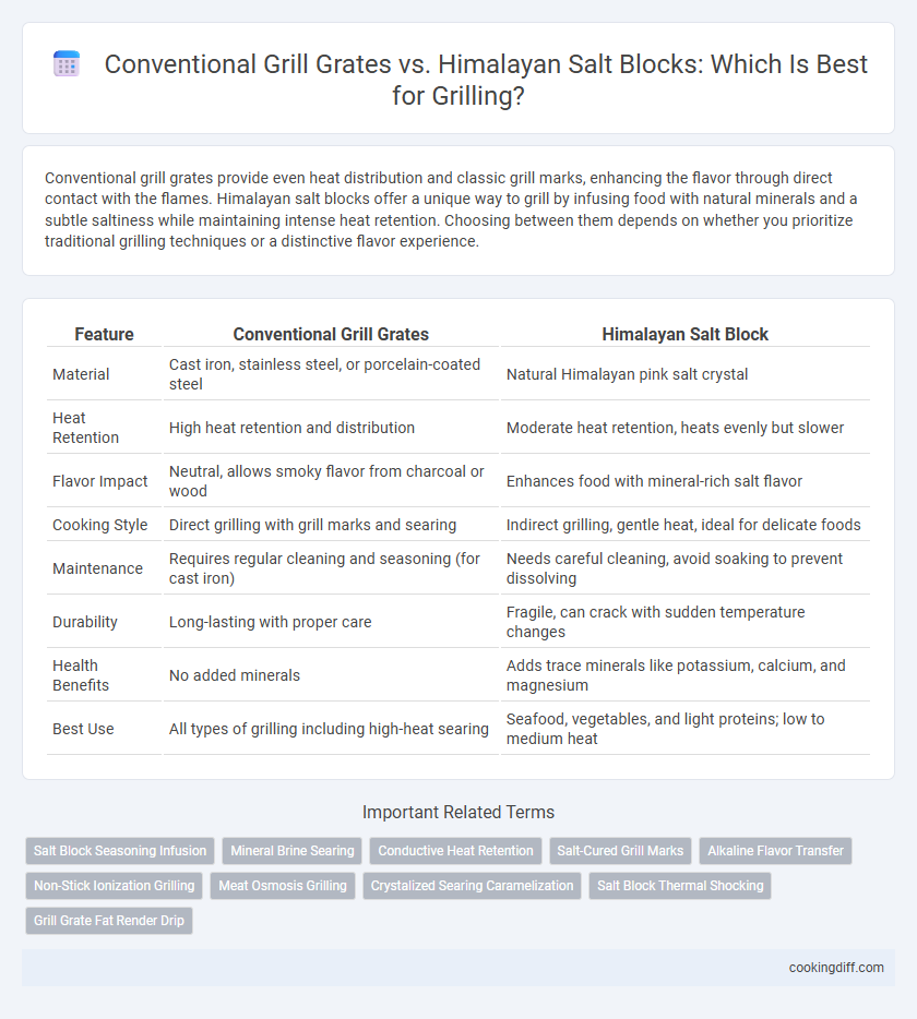 Conventional Grill Grates vs. Himalayan Salt Blocks: Which Is Best for Grilling?
