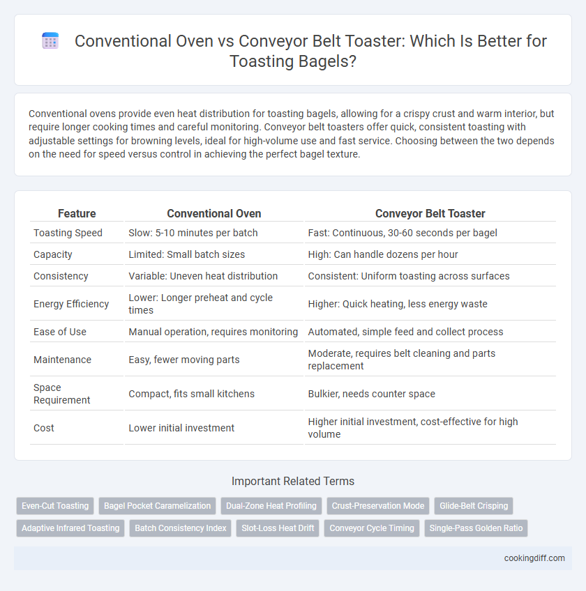 Conventional Oven vs Conveyor Belt Toaster: Which Is Better for Toasting Bagels?