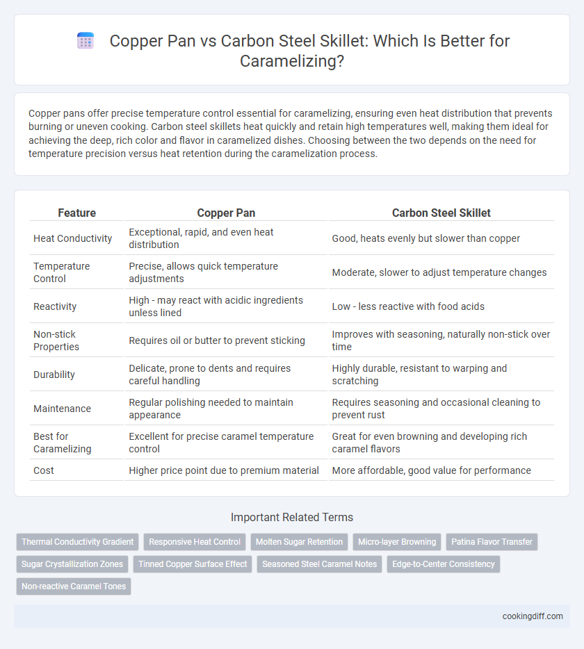 Copper Pan vs Carbon Steel Skillet: Which Is Better for Caramelizing?