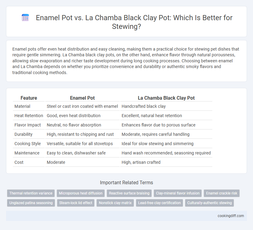 Enamel Pot vs. La Chamba Black Clay Pot: Which Is Better for Stewing?